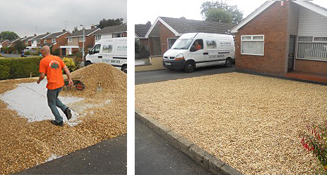 Stump Removal and Hedge Maintenance