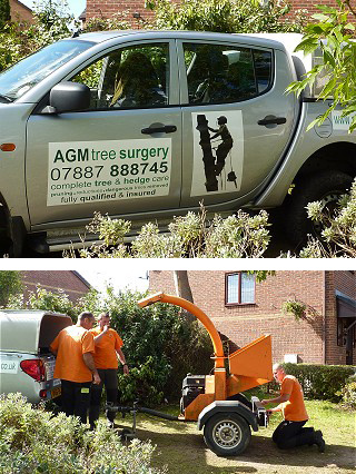 Contact AGM Tree Surgery Mold