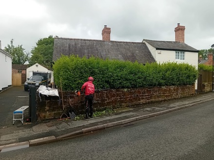 a_quick_hedge_cut_and_tidy_in_waverton After