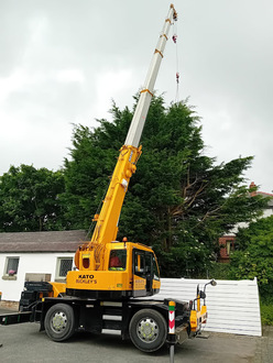 dismantle_of_large_storm_damaged_conifer After