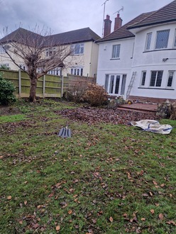 garden_tidy_hedge_work_tree_shaping After